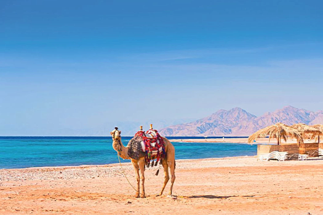 Stations balnéaires de Marsa Alam